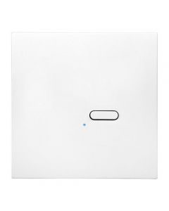 Wise Box 1 Button Wall Switch White